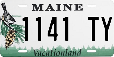 ME license plate 1141TY