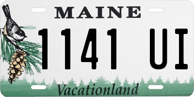 ME license plate 1141UI