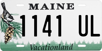 ME license plate 1141UL