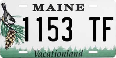 ME license plate 1153TF