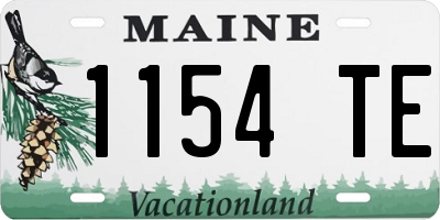 ME license plate 1154TE