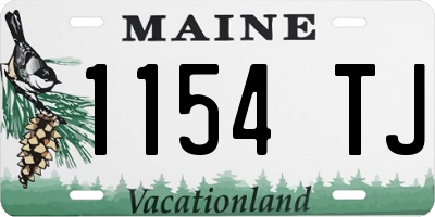 ME license plate 1154TJ