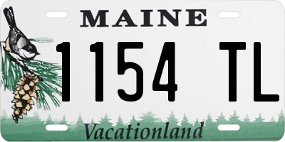 ME license plate 1154TL