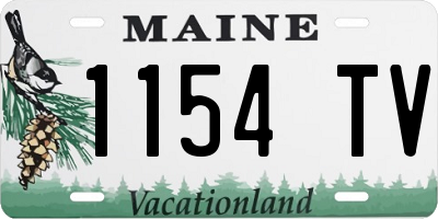ME license plate 1154TV