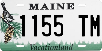 ME license plate 1155TM