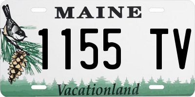 ME license plate 1155TV