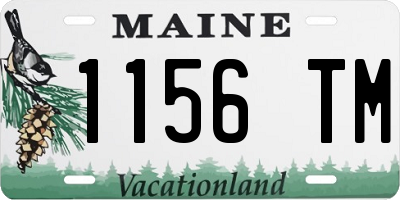 ME license plate 1156TM