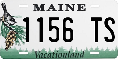 ME license plate 1156TS