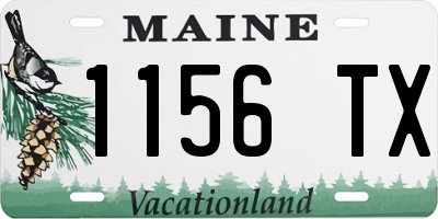 ME license plate 1156TX