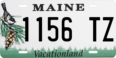 ME license plate 1156TZ