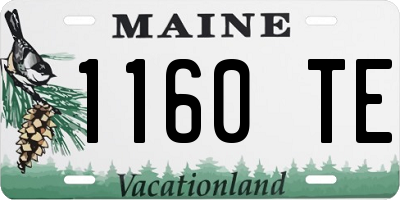 ME license plate 1160TE