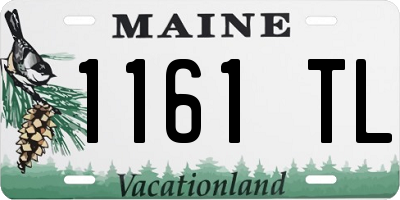 ME license plate 1161TL