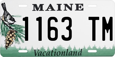 ME license plate 1163TM