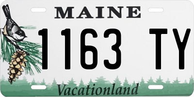 ME license plate 1163TY