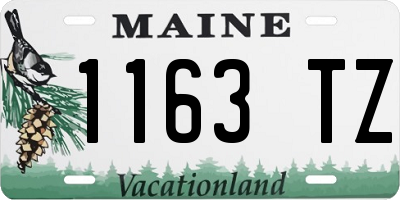 ME license plate 1163TZ