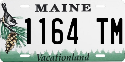 ME license plate 1164TM
