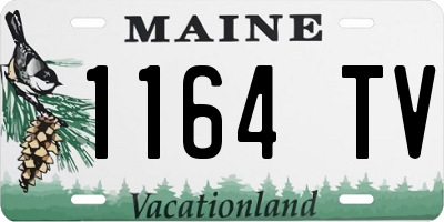 ME license plate 1164TV