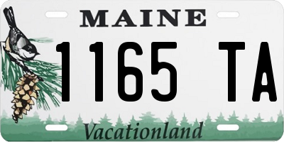 ME license plate 1165TA