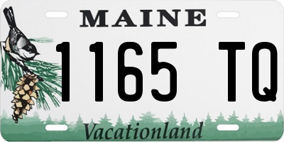 ME license plate 1165TQ