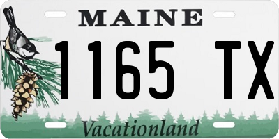 ME license plate 1165TX