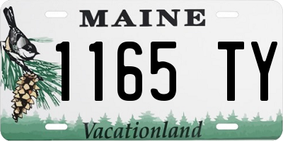 ME license plate 1165TY