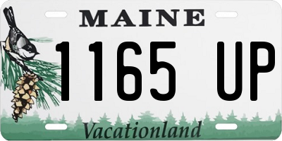 ME license plate 1165UP