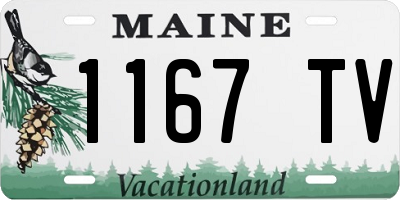 ME license plate 1167TV