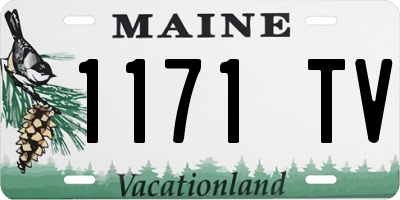 ME license plate 1171TV