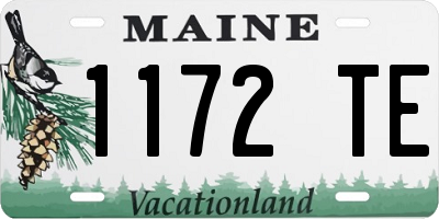 ME license plate 1172TE