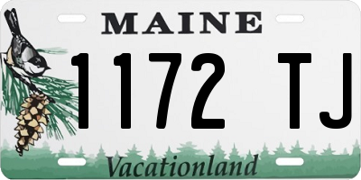 ME license plate 1172TJ