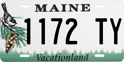 ME license plate 1172TY