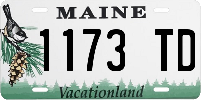 ME license plate 1173TD