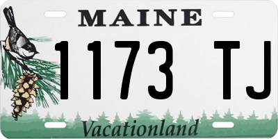ME license plate 1173TJ
