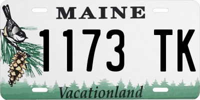 ME license plate 1173TK