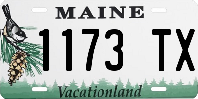 ME license plate 1173TX