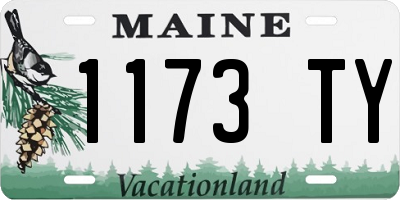 ME license plate 1173TY