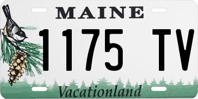 ME license plate 1175TV