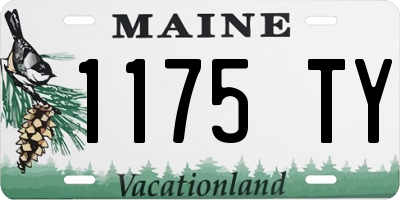 ME license plate 1175TY
