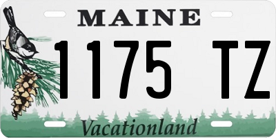 ME license plate 1175TZ