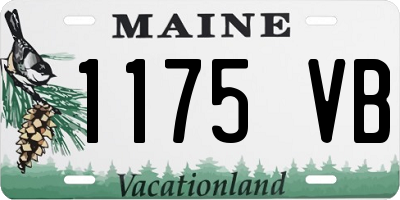 ME license plate 1175VB