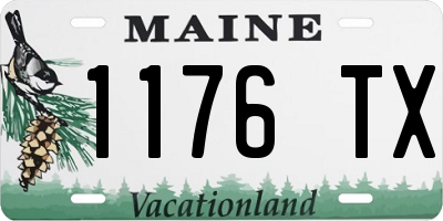 ME license plate 1176TX