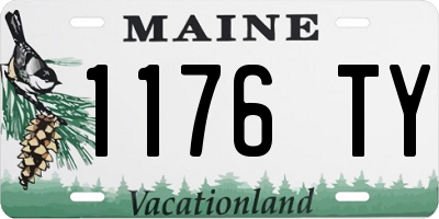 ME license plate 1176TY