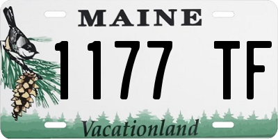 ME license plate 1177TF