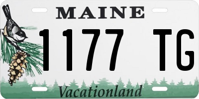 ME license plate 1177TG