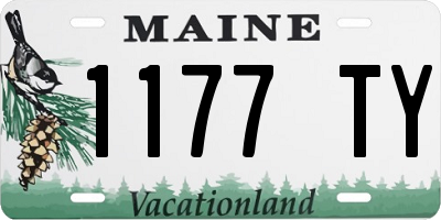 ME license plate 1177TY