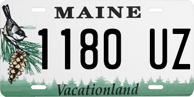 ME license plate 1180UZ