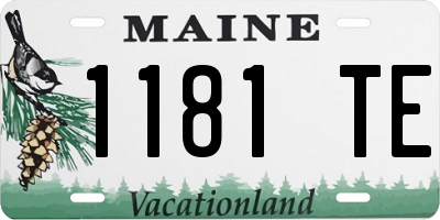 ME license plate 1181TE
