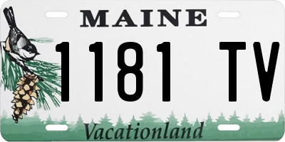 ME license plate 1181TV