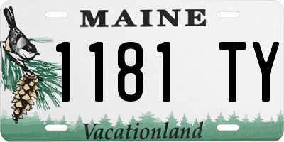 ME license plate 1181TY