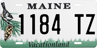 ME license plate 1184TZ